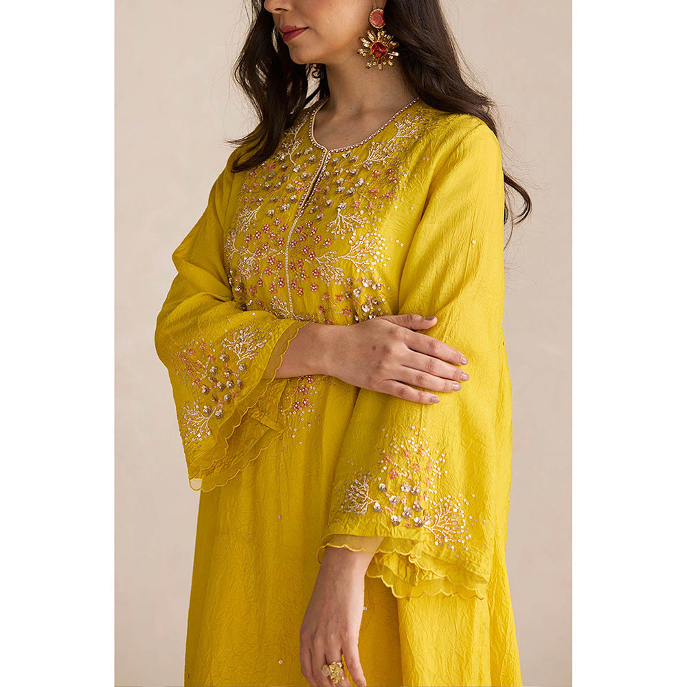 One Not Two Yellow Embroidered Kurta with Slip and Palazzo (Set of 3)