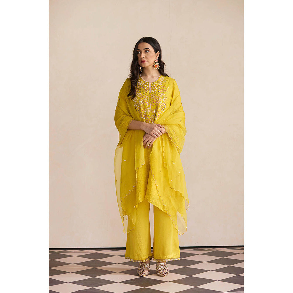 One Not Two Yellow Embroidered Kurta with Slip and Palazzo (Set of 3)