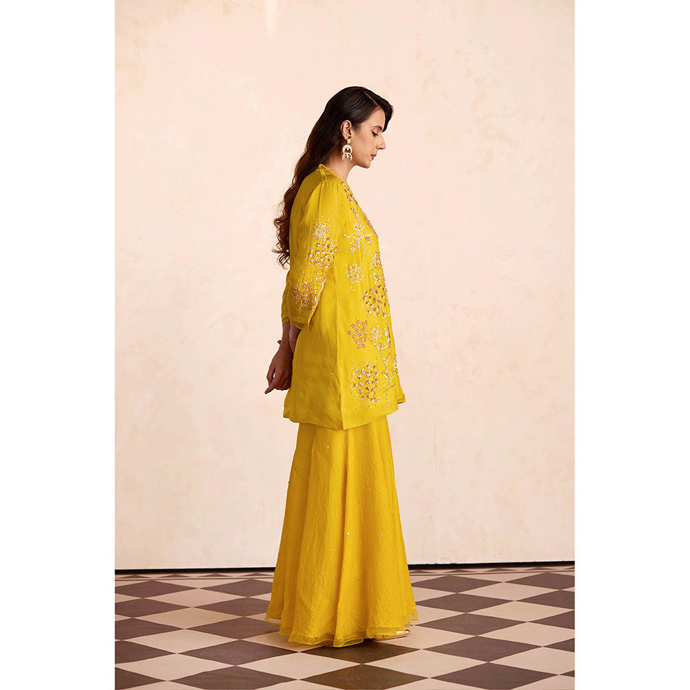 One Not Two Yellow Sharara with Kurti (Set of 2)