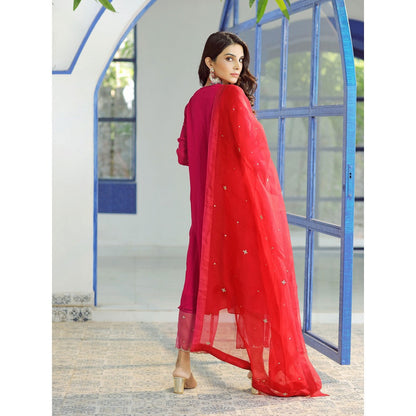 Pairaahan Leher Pink Chiffon Kurta (Set of 3)