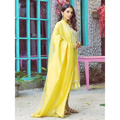 Pairaahan Sorin Chanderi Silk Hand Embroidered Yellow (Set of 3)