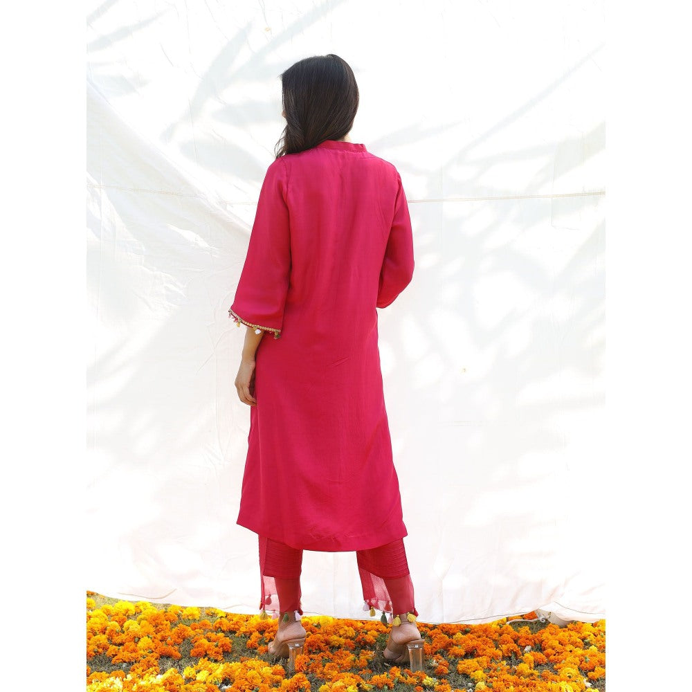 Pairaahan Zehra Kurta (Set of 2)