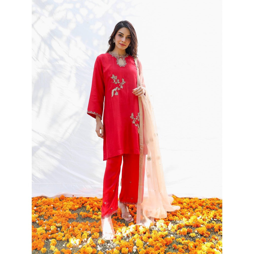 Pairaahan Niran Kurta (Set of 3)