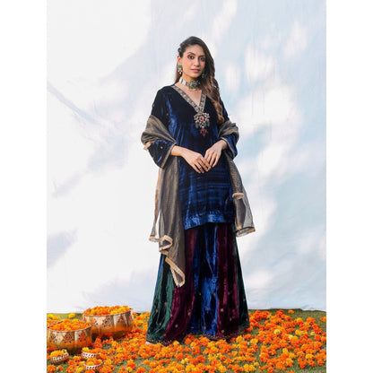 Pairaahan Suki Kurta and Sharara (Set of 3)