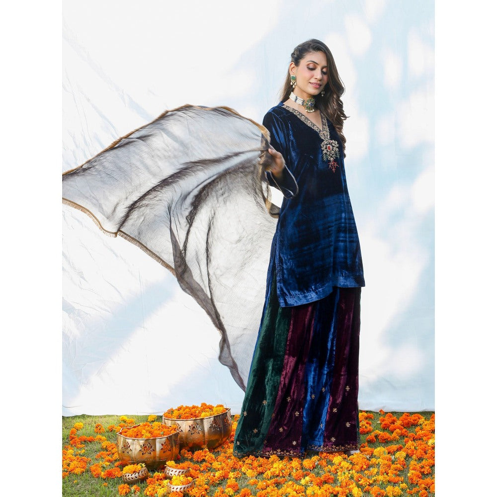 Pairaahan Suki Kurta and Sharara (Set of 3)