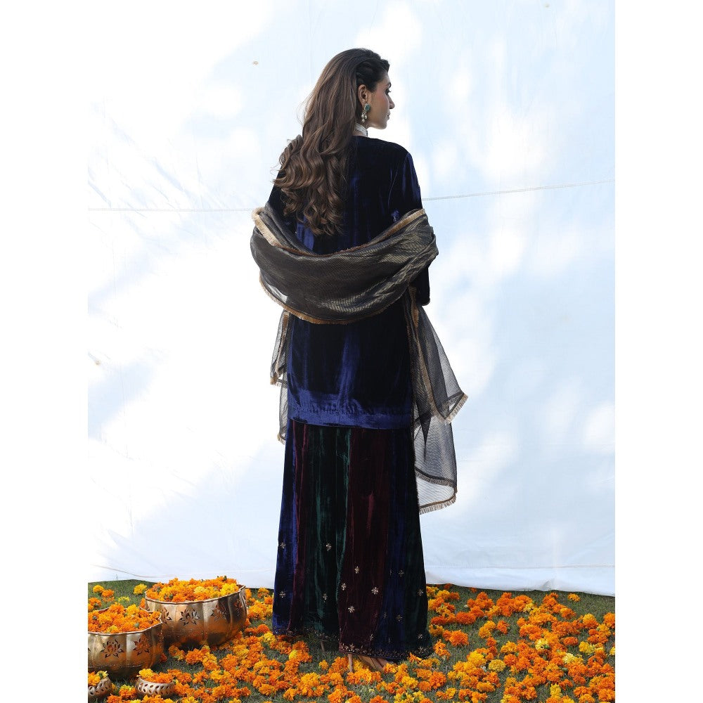 Pairaahan Suki Kurta and Sharara (Set of 3)