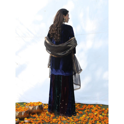 Pairaahan Suki Kurta and Sharara (Set of 3)