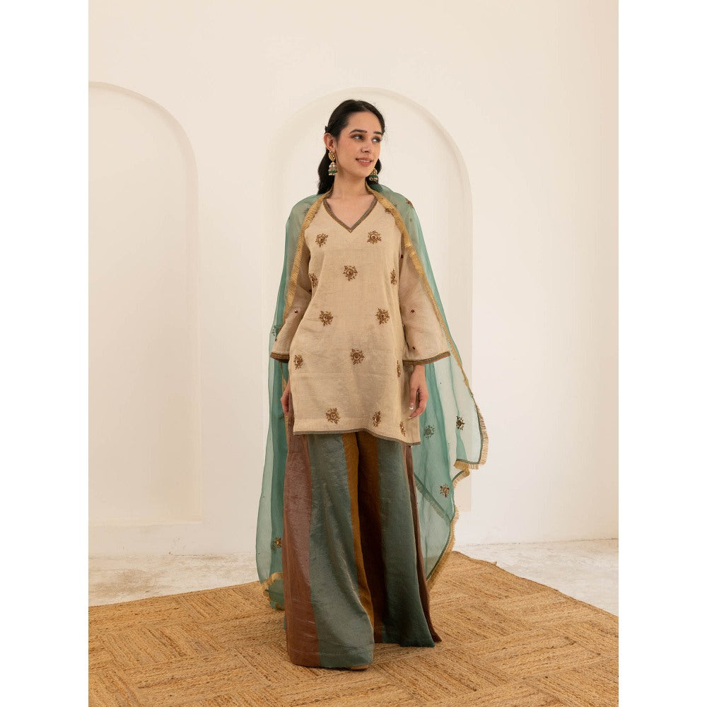 Pairaahan Aashna Palazzo (Set of 3)