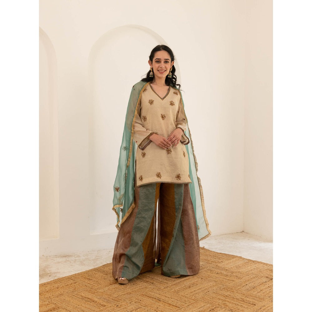 Pairaahan Aashna Palazzo (Set of 3)