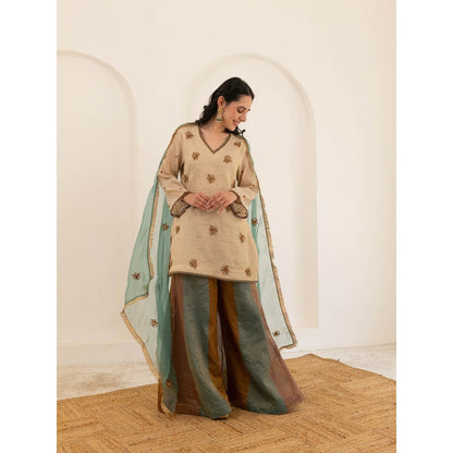 Pairaahan Aashna Palazzo (Set of 3)