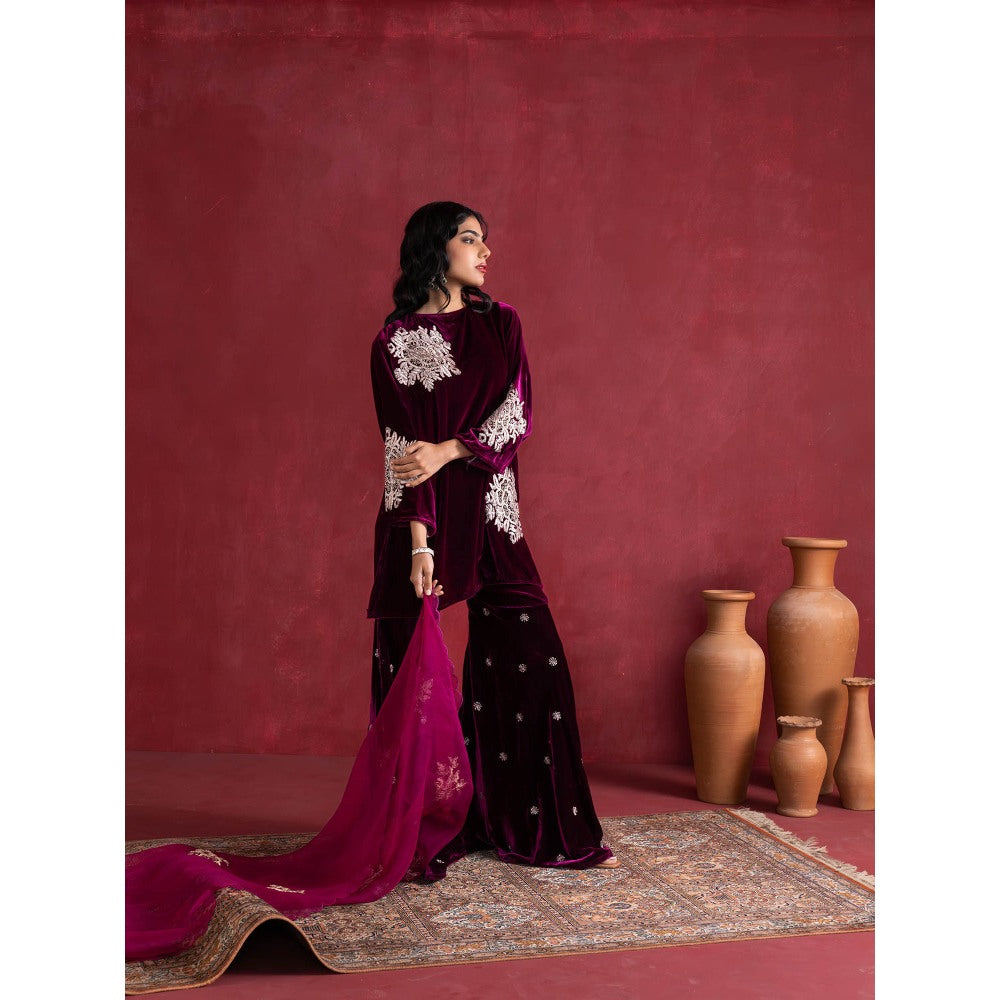 Pairaahan HIRAN Magenta Kurta with Pant (Set of 3)