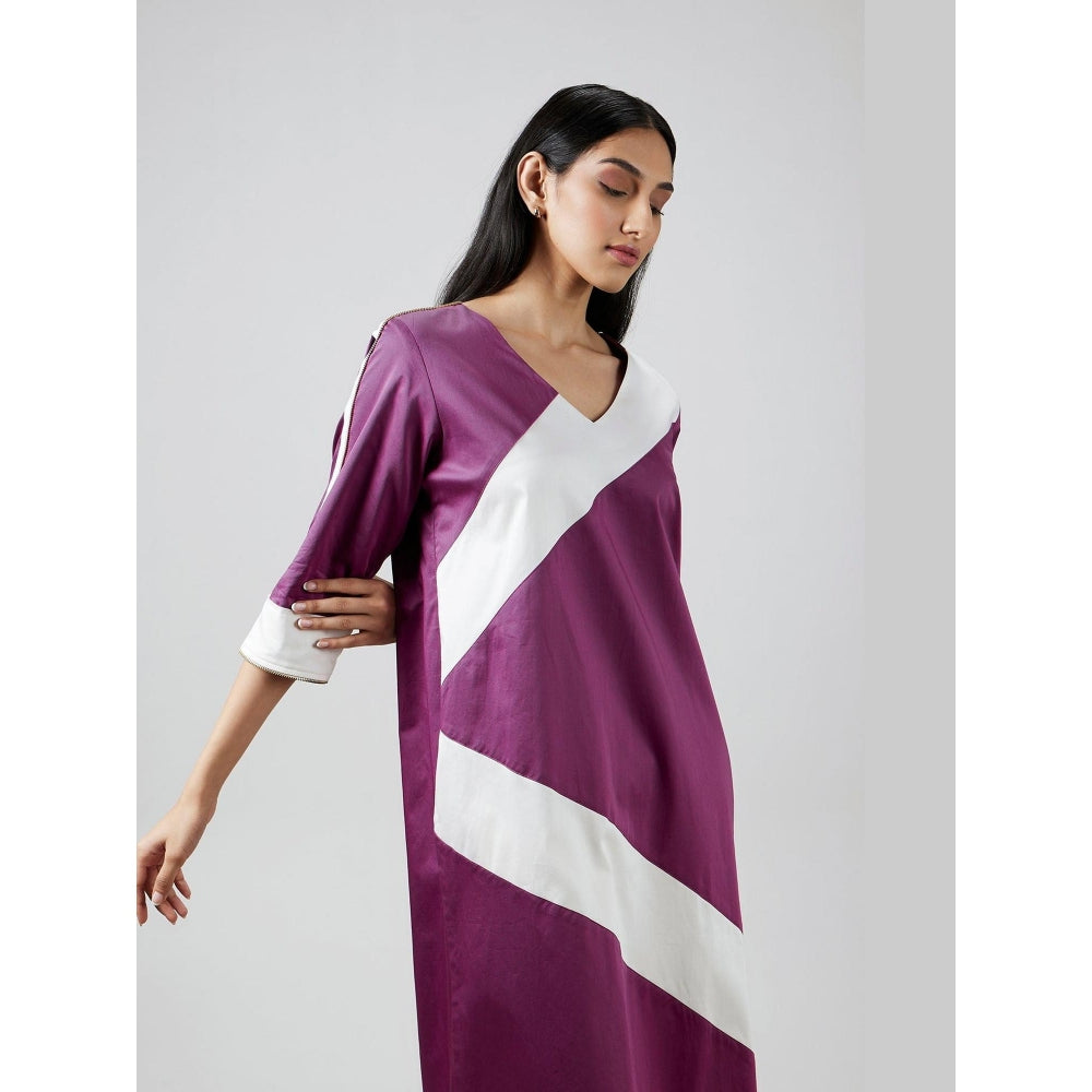 Pallavi Swadi Wine Stripe Kurta with Pant