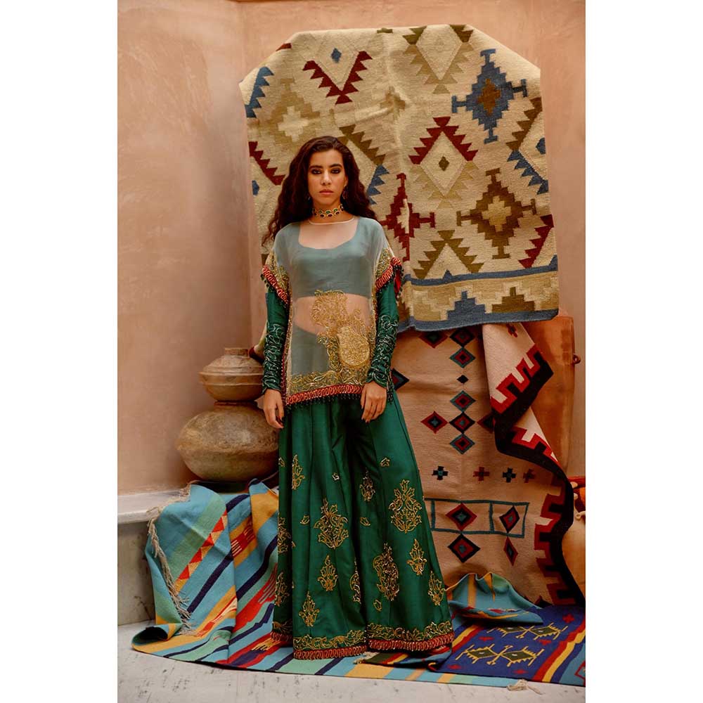 PALLAVI JAIPUR Fawn Sheer Sac Cape with Full Sleeve Blouse and Sharara (Set of 3)