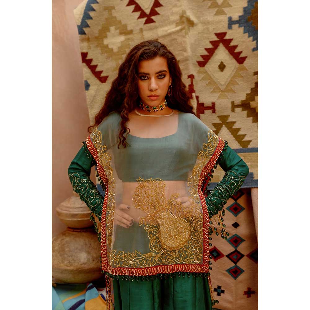 PALLAVI JAIPUR Fawn Sheer Sac Cape with Full Sleeve Blouse and Sharara (Set of 3)