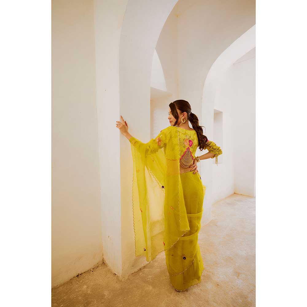 PALLAVI JAIPUR Gulbahar Lemon Green Dil-Bagh Saree With Stitched Blouse