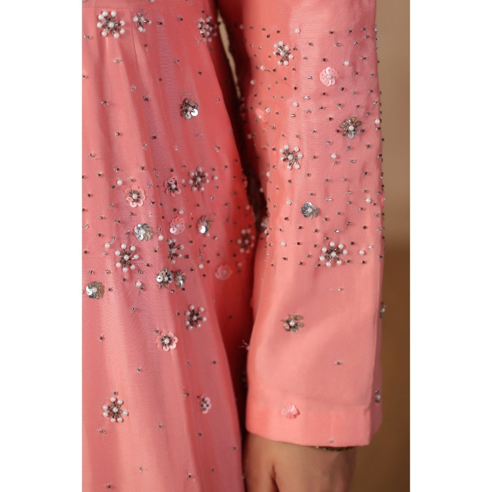 Palak Khandelwal Pink Anarkali with Hand Embroidered Paired with Dupatta (Set of 2)