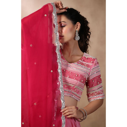 Palak Khandelwal Pink Embroidered Skirt with Blouse and Dupatta (Set of 3)