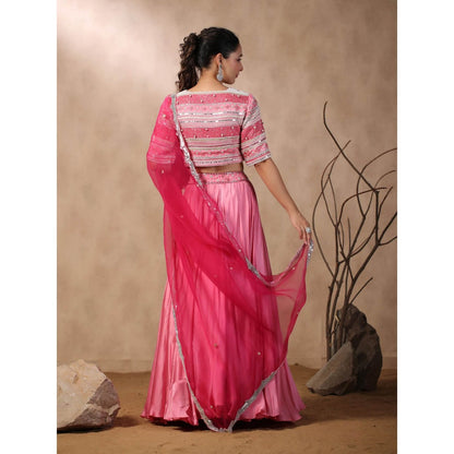 Palak Khandelwal Pink Embroidered Skirt with Blouse and Dupatta (Set of 3)