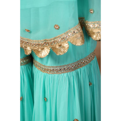 Palak Khandelwal Light Blue Kurta Paired with Sharara and Dupatta (Set of 3)