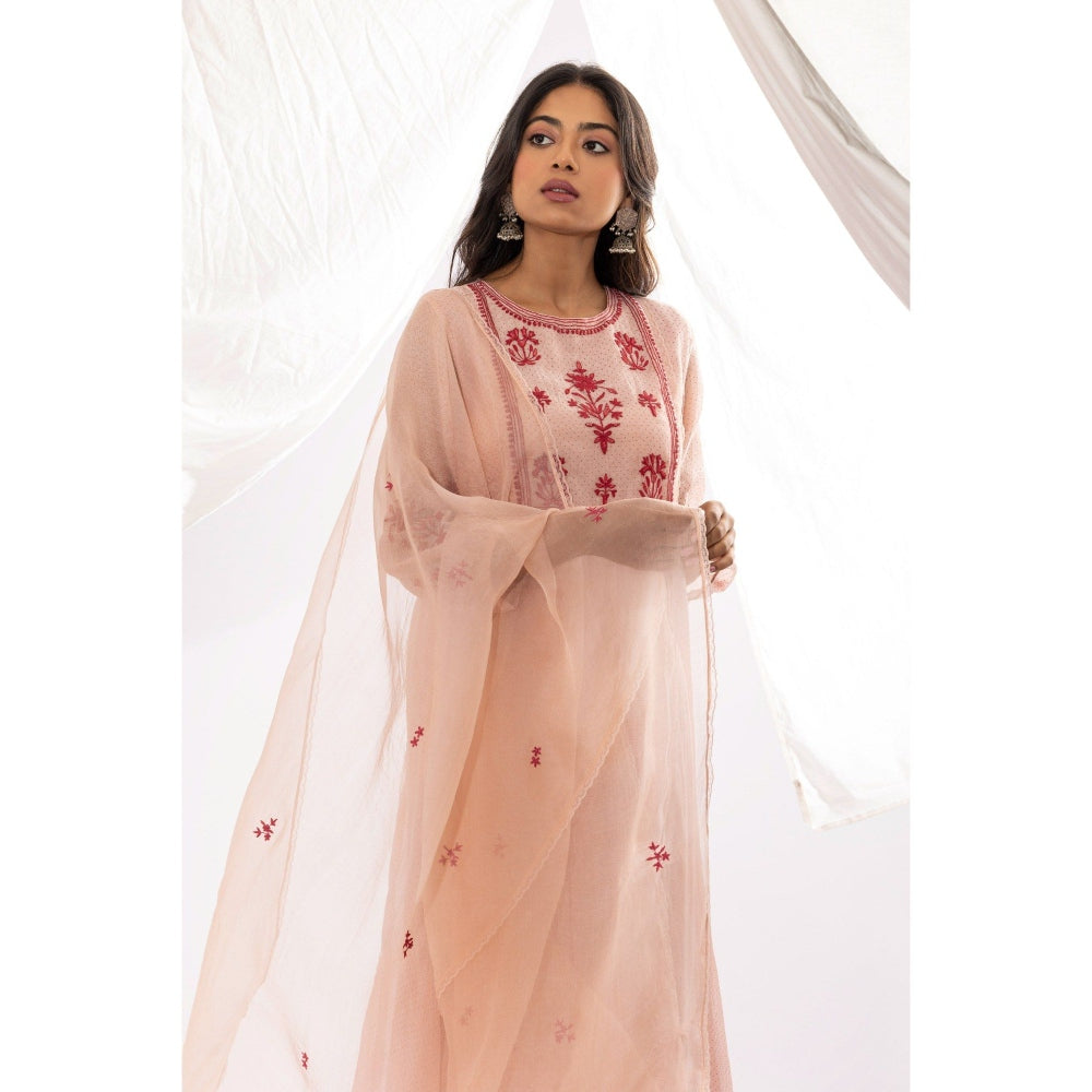 PANTS AND PAJAMAS Pink Organza Dupatta