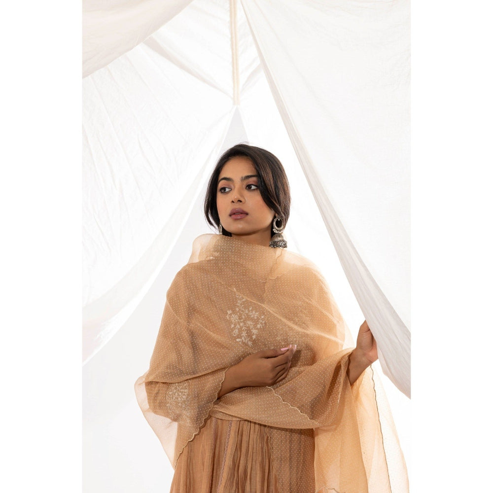 PANTS AND PAJAMAS Beige Printed Organza Dupatta