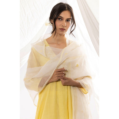 PANTS AND PAJAMAS Off White Organza Dupatta with Thread Work On It.