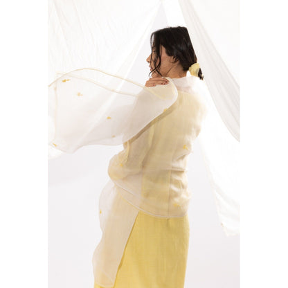 PANTS AND PAJAMAS Off White Organza Dupatta with Thread Work On It.