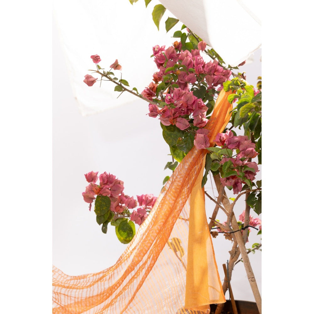 PANTS AND PAJAMAS Orange Chanderi Mull Chikan Kurta with Pant & Dupatta (Set of 3)