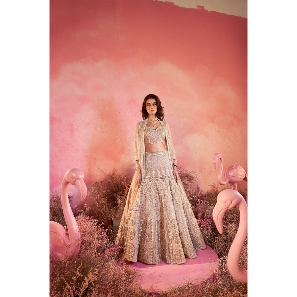 PARUL GANDHI Sanjh Nude Blosue with Lehenga & Dupatta (Set of 3)