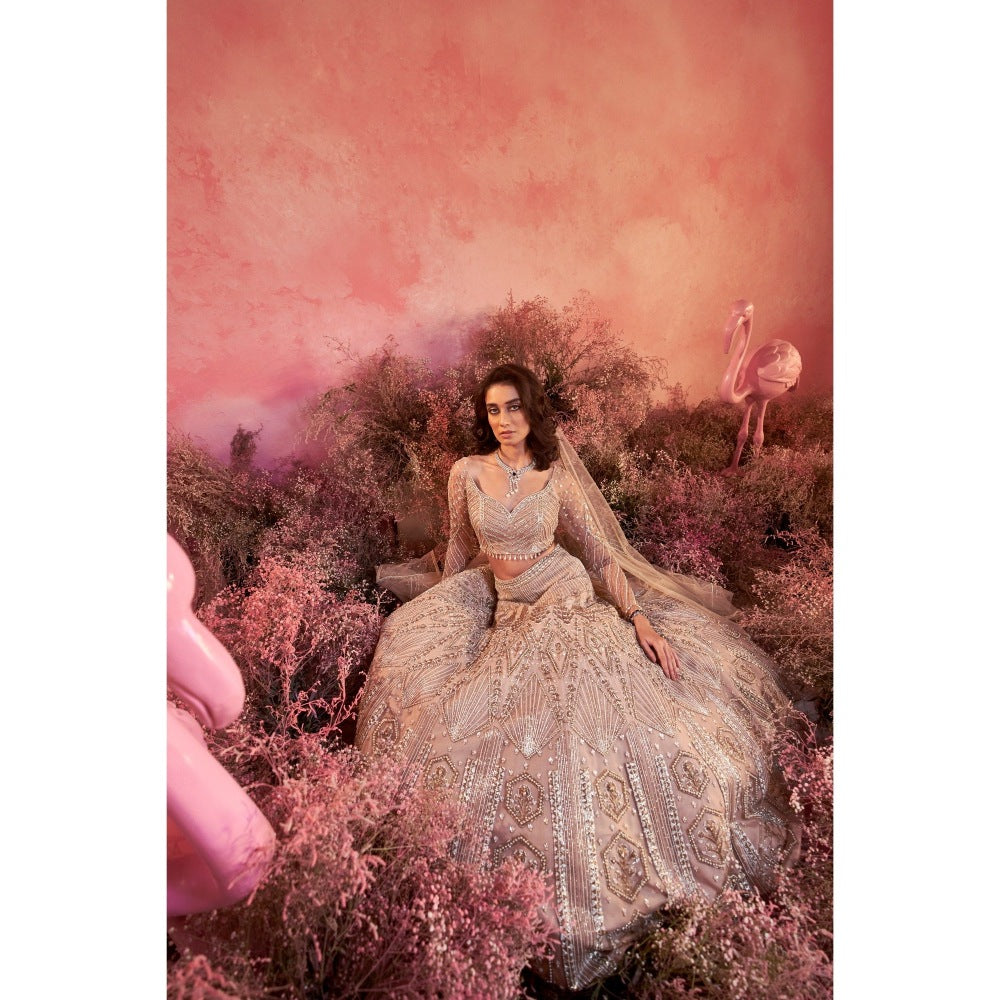 PARUL GANDHI Sanjh Nude Blosue with Lehenga & Dupatta (Set of 3)