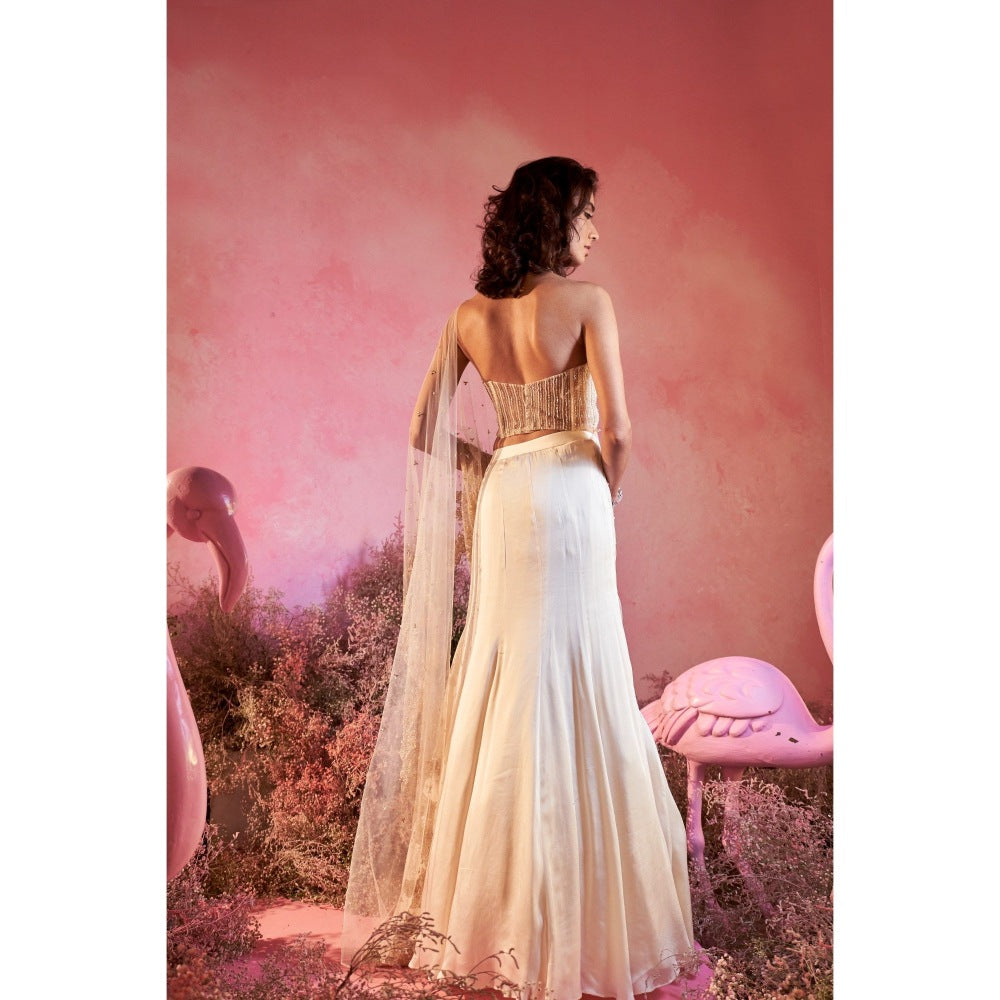 PARUL GANDHI Chand Drape Saree with Stitched Blouse with Stitched