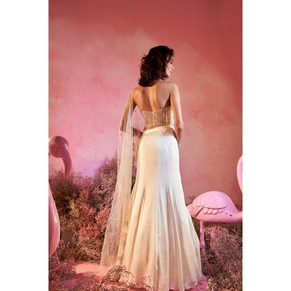 PARUL GANDHI Chand Drape Saree with Stitched Blouse with Stitched