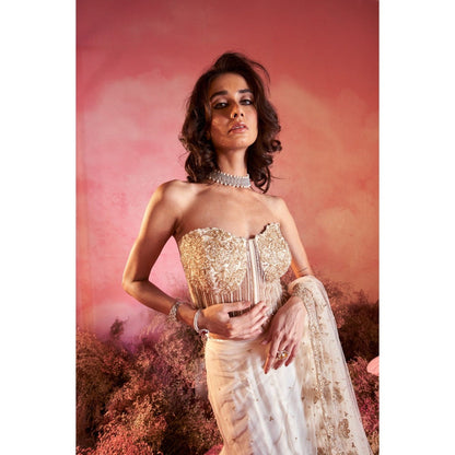 PARUL GANDHI Chand Drape Saree with Stitched Blouse with Stitched