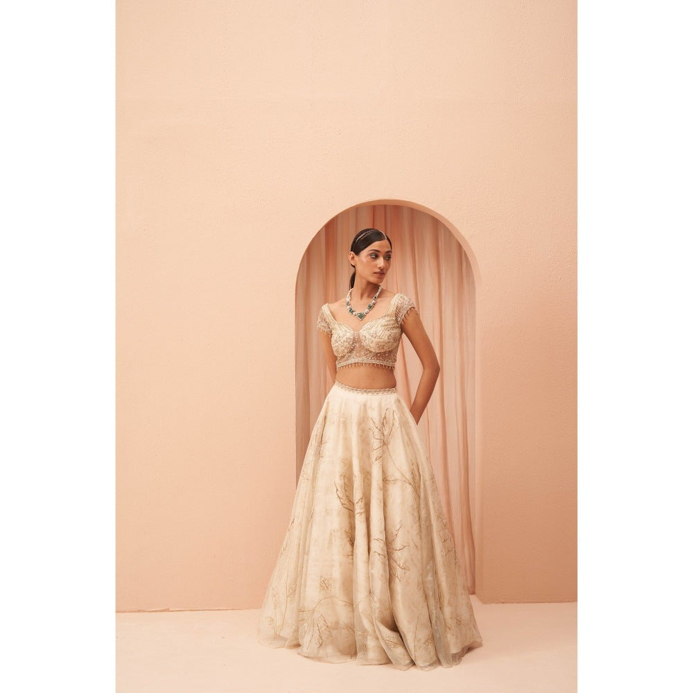 PARUL GANDHI Cleopatra Blouse with Lehenga & Dupatta (Set of 3)