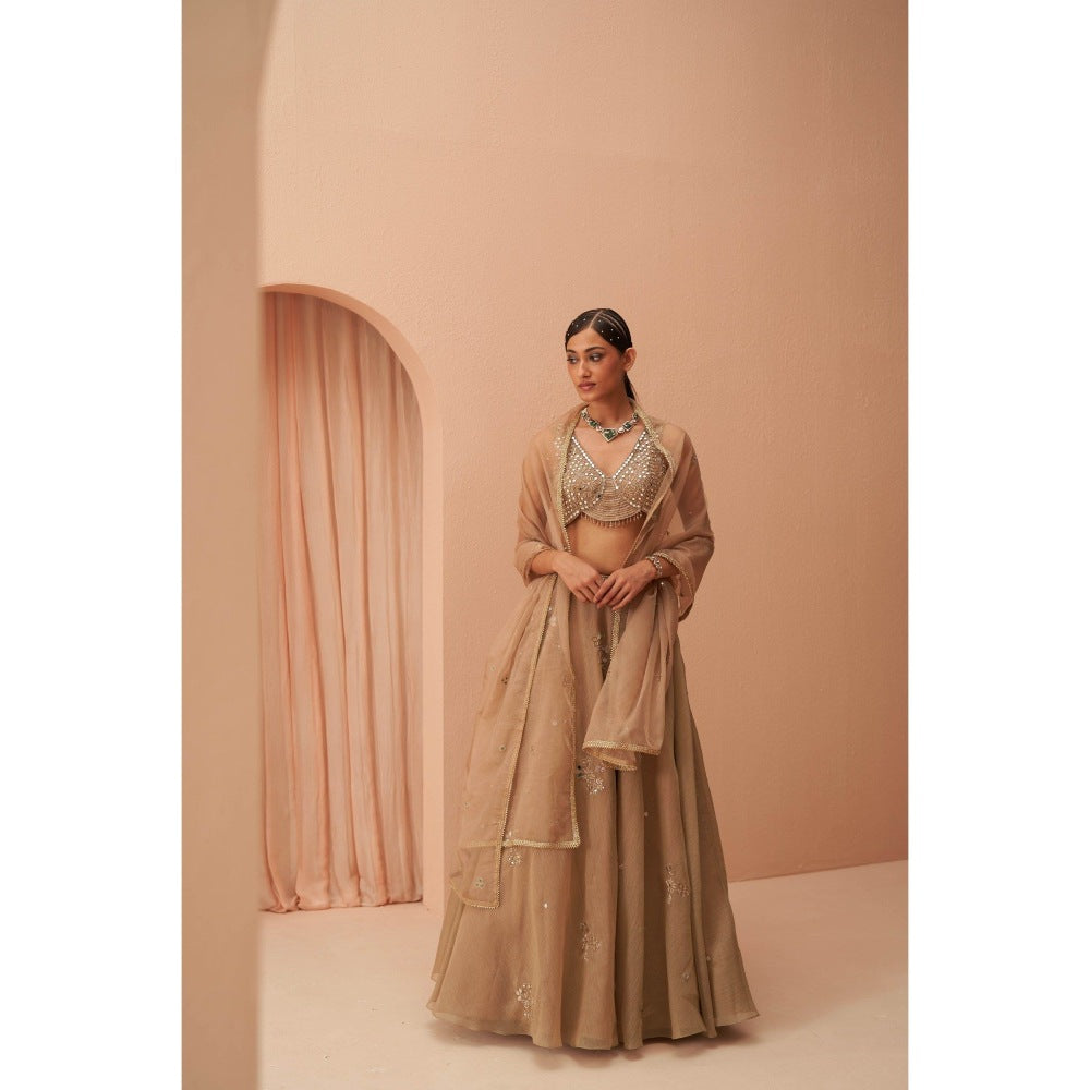 PARUL GANDHI Gold Flake Mirror Blouse with Lehenga & Dupatta (Set of 3)