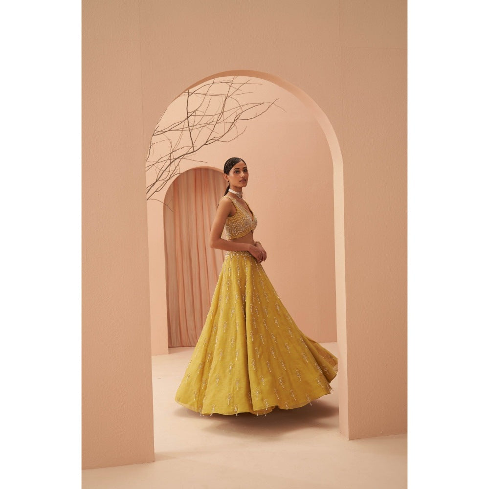 PARUL GANDHI Blaze Yellow Blouse with Lehenga & Dupatta (Set of 3)
