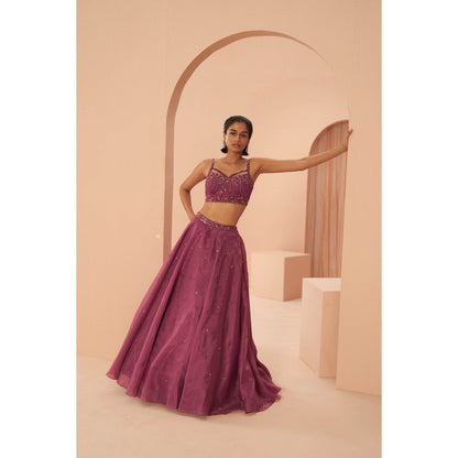 PARUL GANDHI Plum Sorbet Kurta with Lehanga & Dupatta (Set of 3)