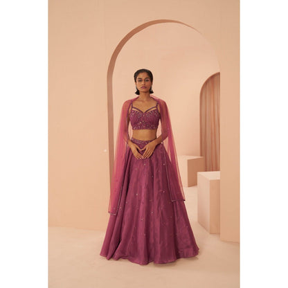 PARUL GANDHI Plum Sorbet Kurta with Lehanga & Dupatta (Set of 3)