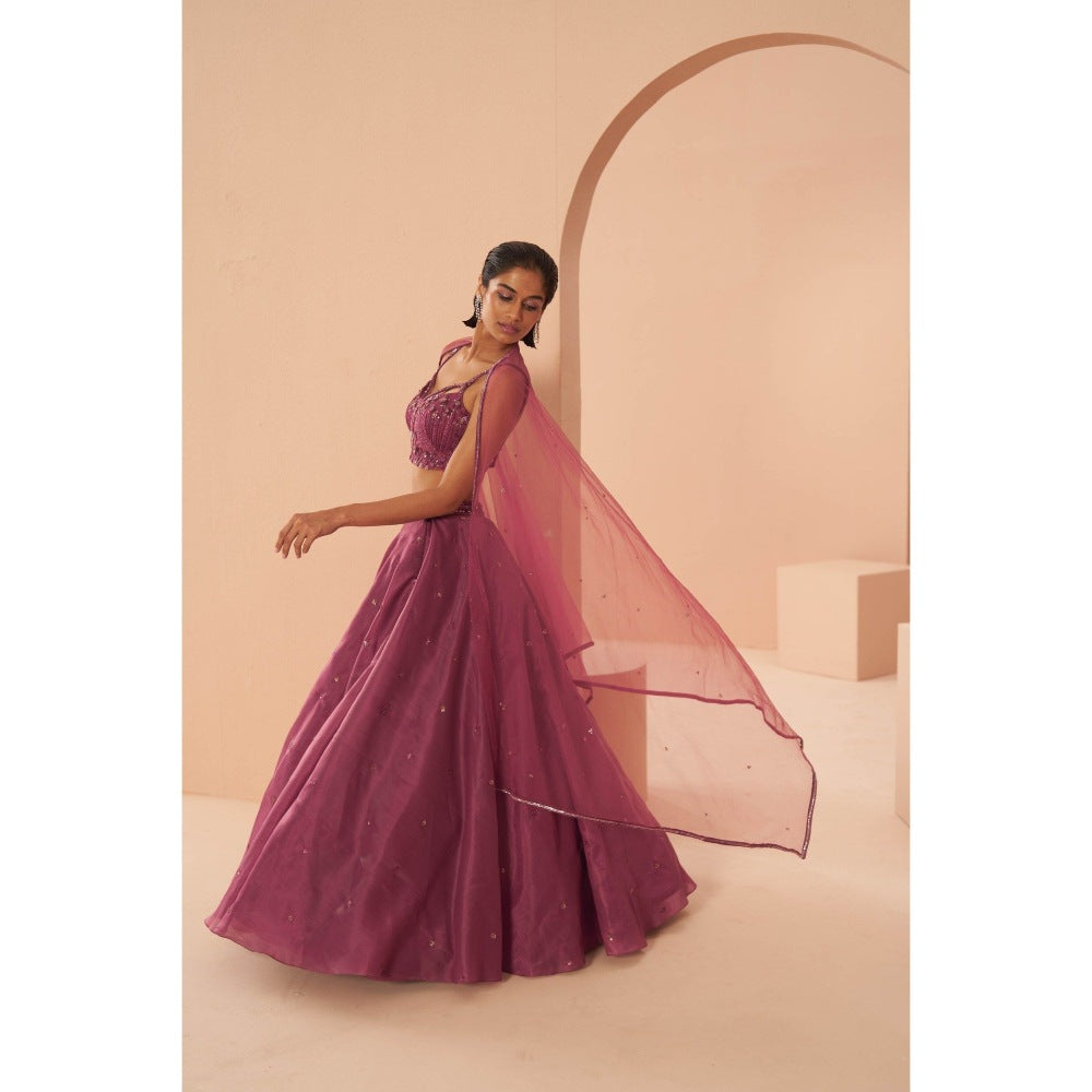 PARUL GANDHI Plum Sorbet Kurta with Lehanga & Dupatta (Set of 3)