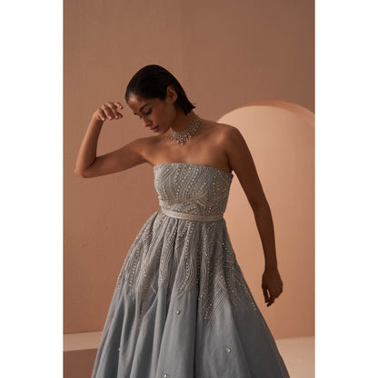 PARUL GANDHI Frozen Blue Crystal Gown