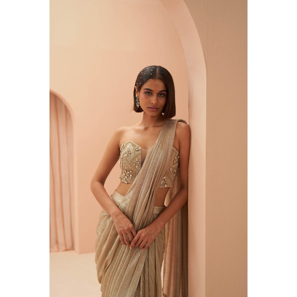 PARUL GANDHI Gold Flake Pleated Saree with Stitched Blouse with Stitched