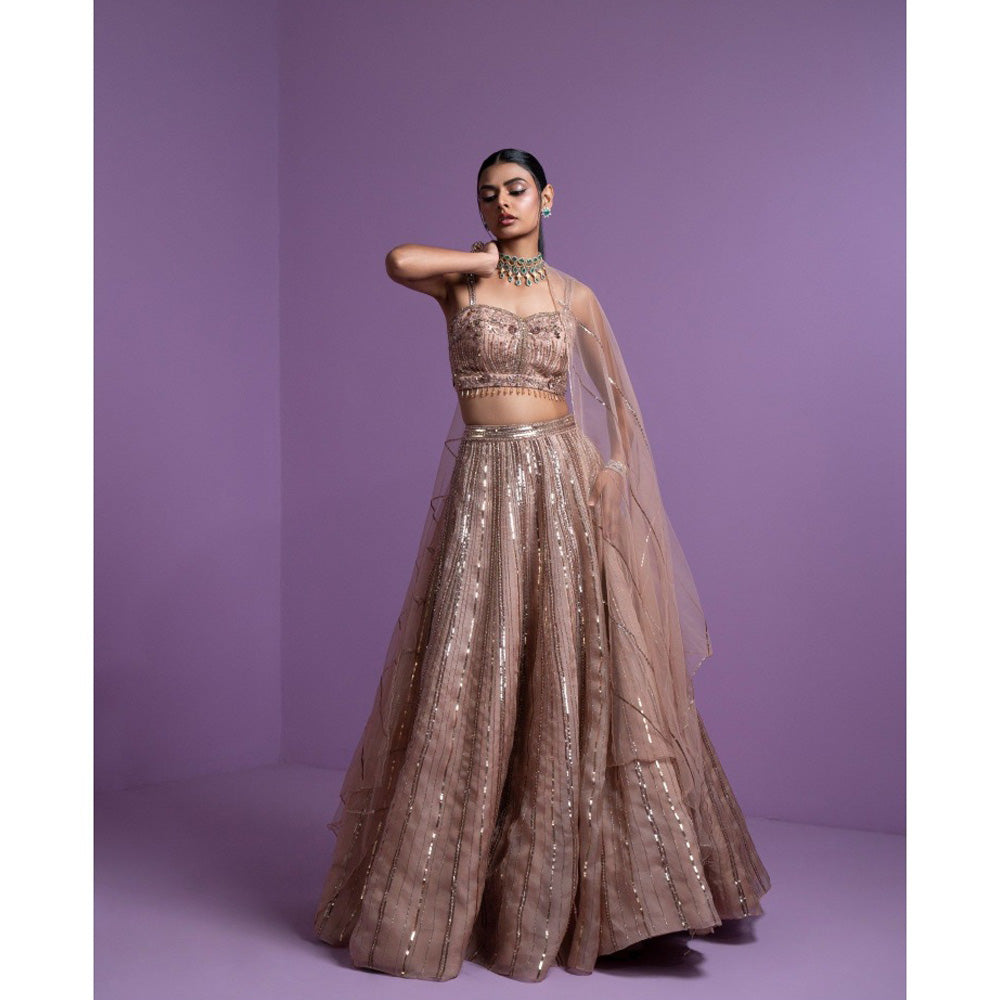 PARUL GANDHI Caramel Blaze Blouse with Lehenga & Dupatta (Set of 3)