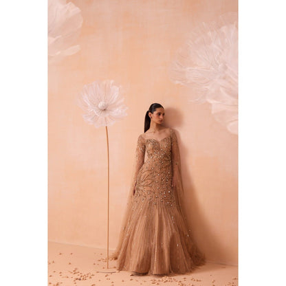 PARUL GANDHI Beige Gleaming Gown