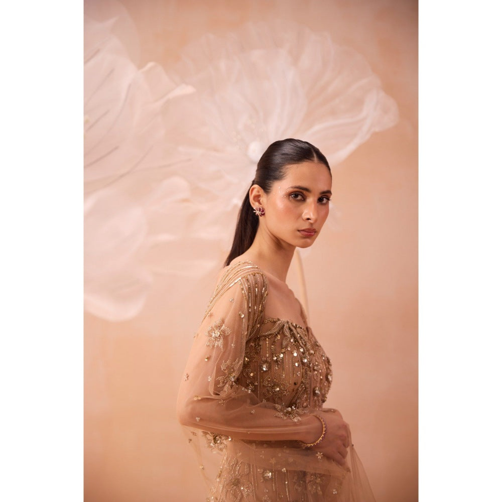 PARUL GANDHI Beige Gleaming Gown