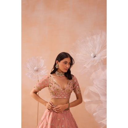 PARUL GANDHI Blush Pink Lehenga With Blouse And Dupatta (Set of 3)