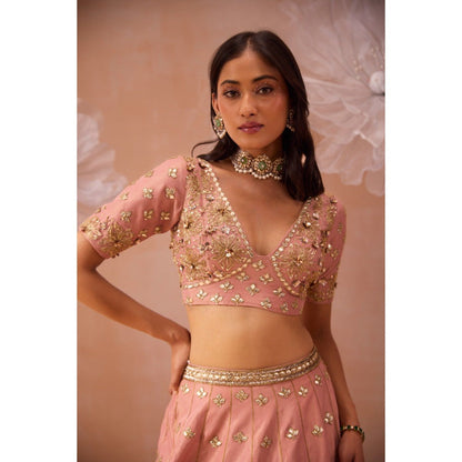 PARUL GANDHI Blush Pink Lehenga With Blouse And Dupatta (Set of 3)