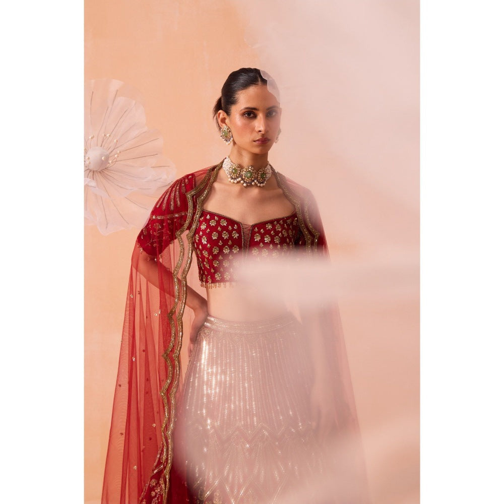 PARUL GANDHI Red Leaf Lehenga With Blouse And Dupatta (Set of 3)