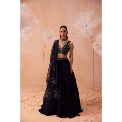 PARUL GANDHI Navy Blue Organza Lehenga With Blouse And Dupatta (Set of 3)