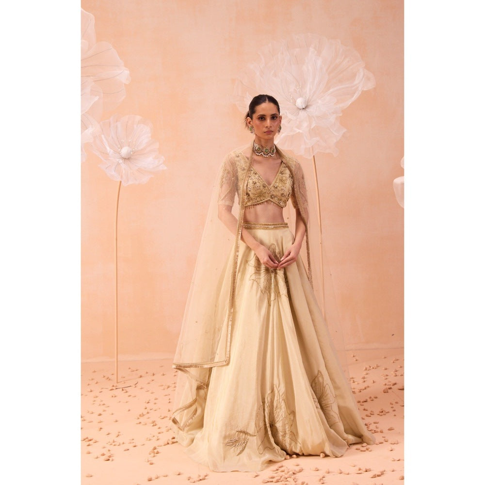 PARUL GANDHI Beige Sarine Lehenga With Blouse And Dupatta (Set of 3)