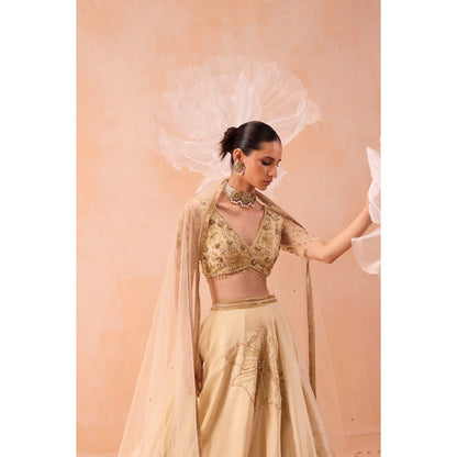 PARUL GANDHI Beige Sarine Lehenga With Blouse And Dupatta (Set of 3)